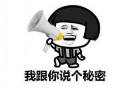 乾安乾安的要账公司在催收过程中的策略和技巧有哪些？